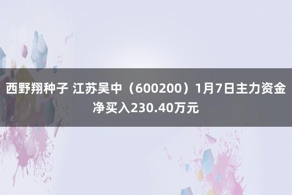 西野翔种子 江苏吴中（600200）1月7日主力资金净买入230.40万元