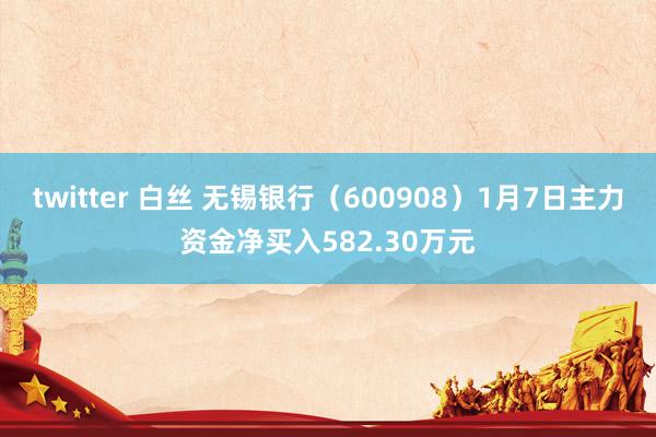 twitter 白丝 无锡银行（600908）1月7日主力资金净买入582.30万元