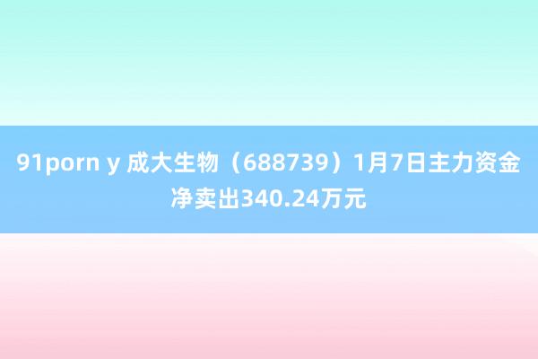 91porn y 成大生物（688739）1月7日主力资金净卖出340.24万元