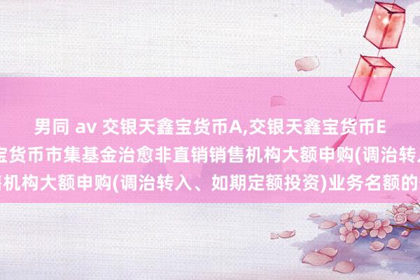 男同 av 交银天鑫宝货币A,交银天鑫宝货币E: 对于交银施罗德天鑫宝货币市集基金治愈非直销销售机构大额申购(调治转入、如期定额投资)业务名额的公告