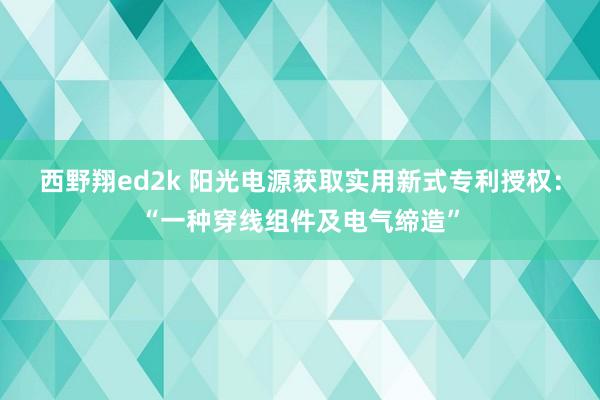 西野翔ed2k 阳光电源获取实用新式专利授权：“一种穿线组件及电气缔造”