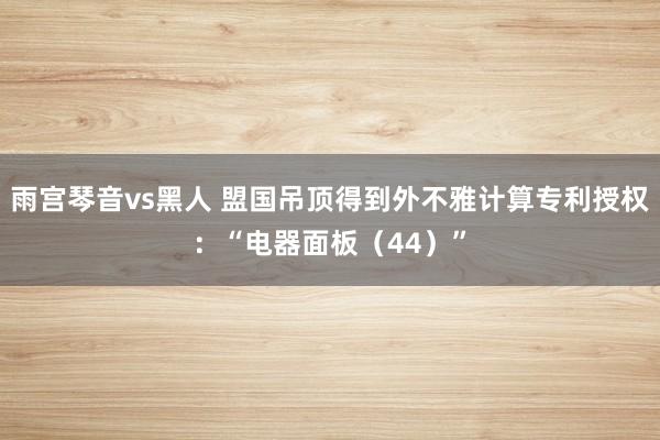 雨宫琴音vs黑人 盟国吊顶得到外不雅计算专利授权：“电器面板（44）”