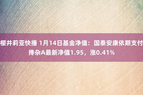 樱井莉亚快播 1月14日基金净值：国泰安康依期支付搀杂A最新净值1.95，涨0.41%