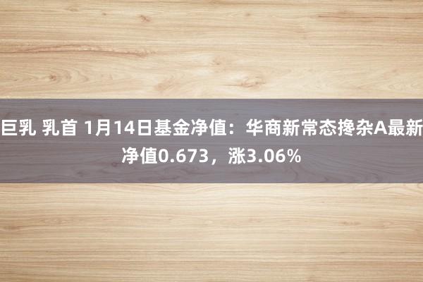 巨乳 乳首 1月14日基金净值：华商新常态搀杂A最新净值0.673，涨3.06%