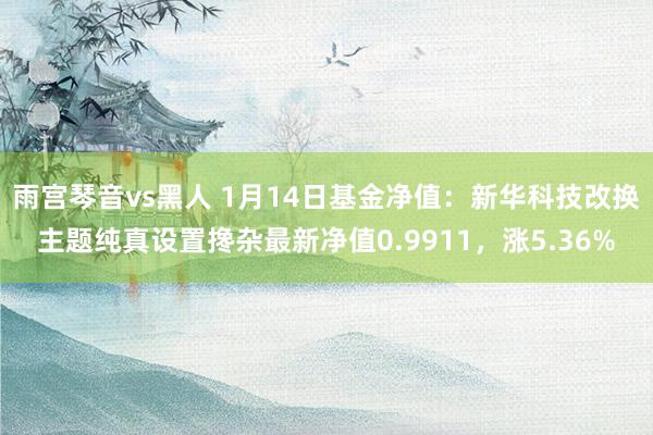 雨宫琴音vs黑人 1月14日基金净值：新华科技改换主题纯真设置搀杂最新净值0.9911，涨5.36%