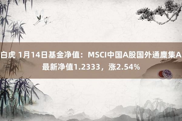 白虎 1月14日基金净值：MSCI中国A股国外通麇集A最新净值1.2333，涨2.54%
