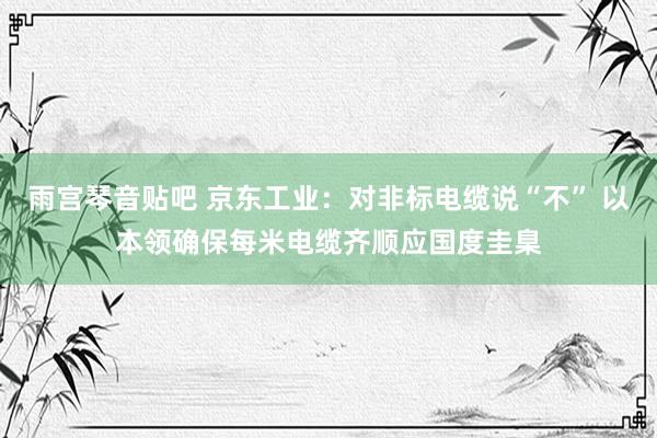 雨宫琴音贴吧 京东工业：对非标电缆说“不” 以本领确保每米电缆齐顺应国度圭臬