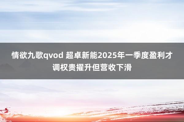情欲九歌qvod 超卓新能2025年一季度盈利才调权贵擢升但营收下滑