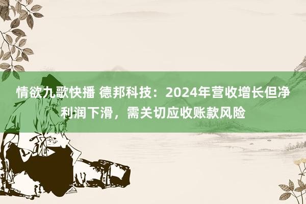 情欲九歌快播 德邦科技：2024年营收增长但净利润下滑，需关切应收账款风险