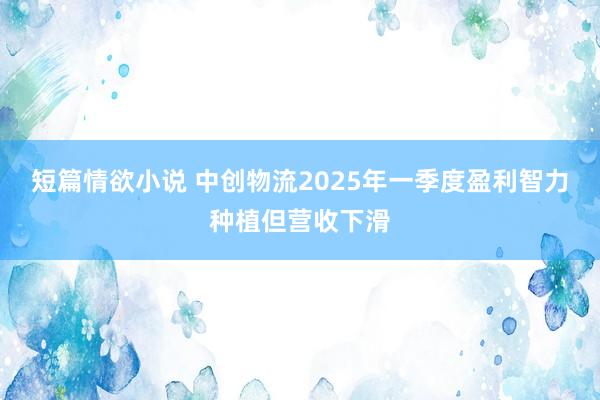 短篇情欲小说 中创物流2025年一季度盈利智力种植但营收下滑