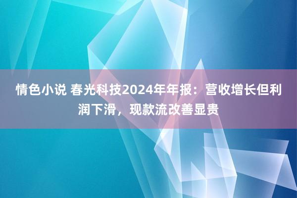 情色小说 春光科技2024年年报：营收增长但利润下滑，现款流改善显贵