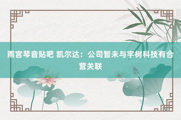 雨宫琴音贴吧 凯尔达：公司暂未与宇树科技有合营关联