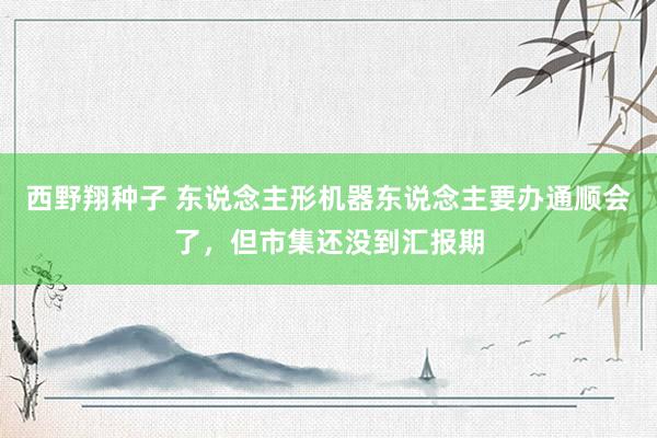 西野翔种子 东说念主形机器东说念主要办通顺会了，但市集还没到汇报期
