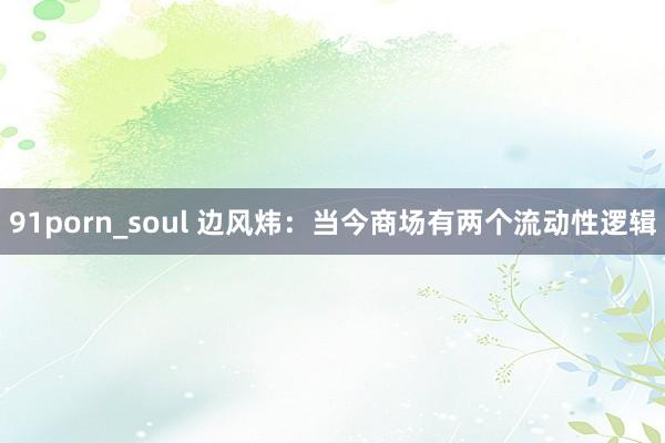 91porn_soul 边风炜:当今商场有两个流动性逻辑