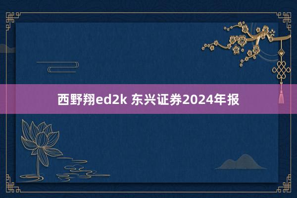 西野翔ed2k 东兴证券2024年报