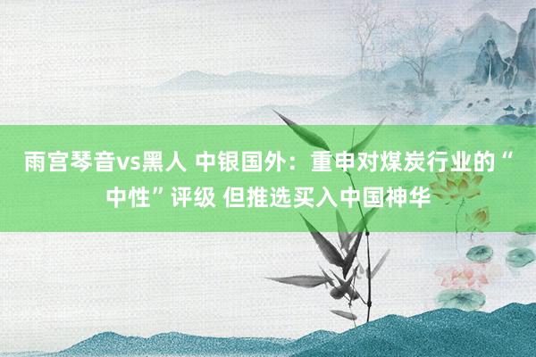 雨宫琴音vs黑人 中银国外：重申对煤炭行业的“中性”评级 但推选买入中国神华