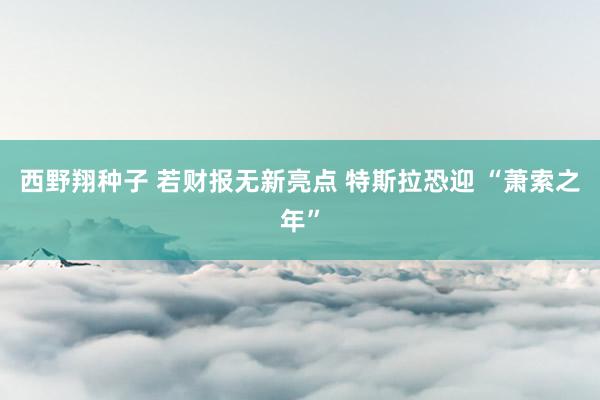 西野翔种子 若财报无新亮点 特斯拉恐迎 “萧索之年”