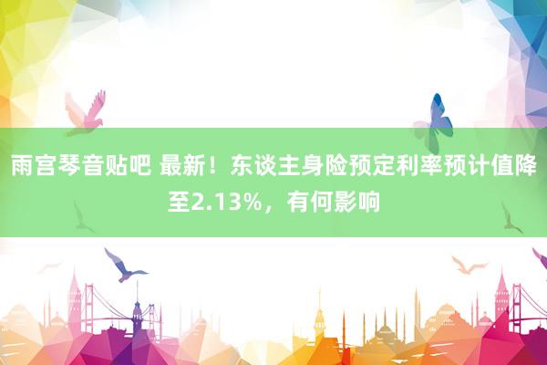 雨宫琴音贴吧 最新！东谈主身险预定利率预计值降至2.13%，有何影响