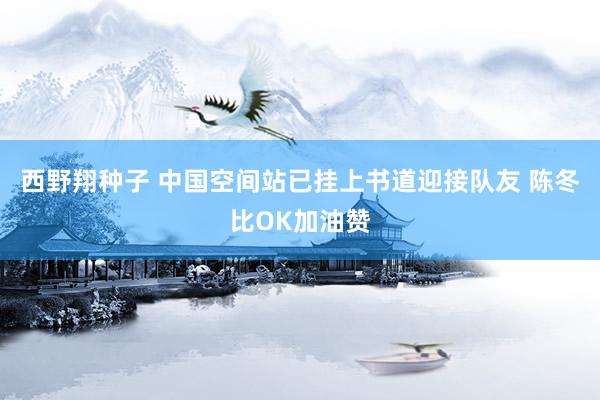 西野翔种子 中国空间站已挂上书道迎接队友 陈冬比OK加油赞