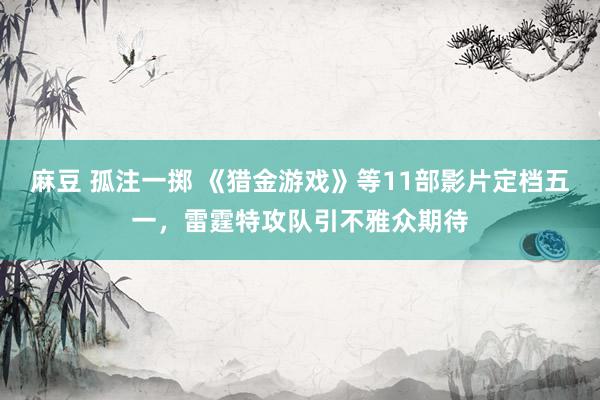麻豆 孤注一掷 《猎金游戏》等11部影片定档五一，雷霆特攻队引不雅众期待