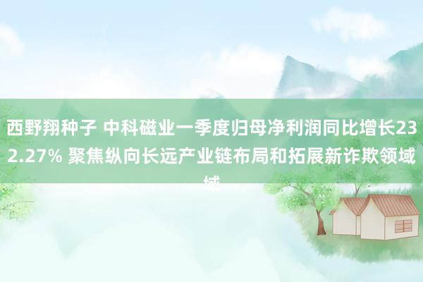 西野翔种子 中科磁业一季度归母净利润同比增长232.27% 聚焦纵向长远产业链布局和拓展新诈欺领域